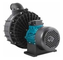 SOLO MELI PIS - BOMBA NADO CONTRACORRIENTE PISCINA, ESPA 220V 4 HP TRIFASICA