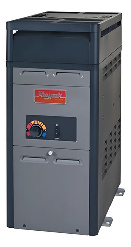 [MLM705396854] SOLO MELI - CALDERA PARA ALBERCA DE 105 KBTUS MARCA RUUD